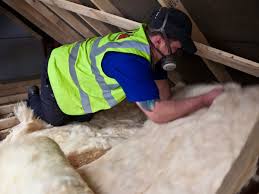 Best Eco-Friendly or Green Insulation Solutions  in Holden Heights, FL