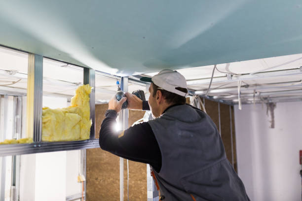 Best Fireproof Insulation  in Holden Heights, FL