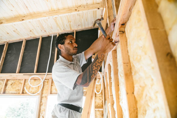 Best Batt and Roll Insulation  in Holden Heights, FL